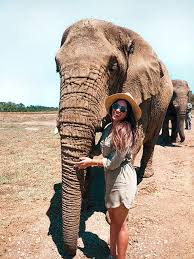 Elephant Sanctuary