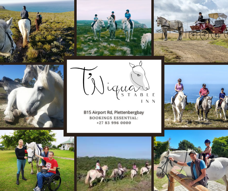 Tniqau stable inn trail rides