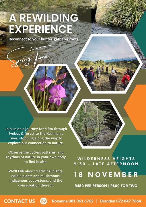 Rewilding Indigeonous Plants Tour