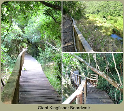 Hiking Trails