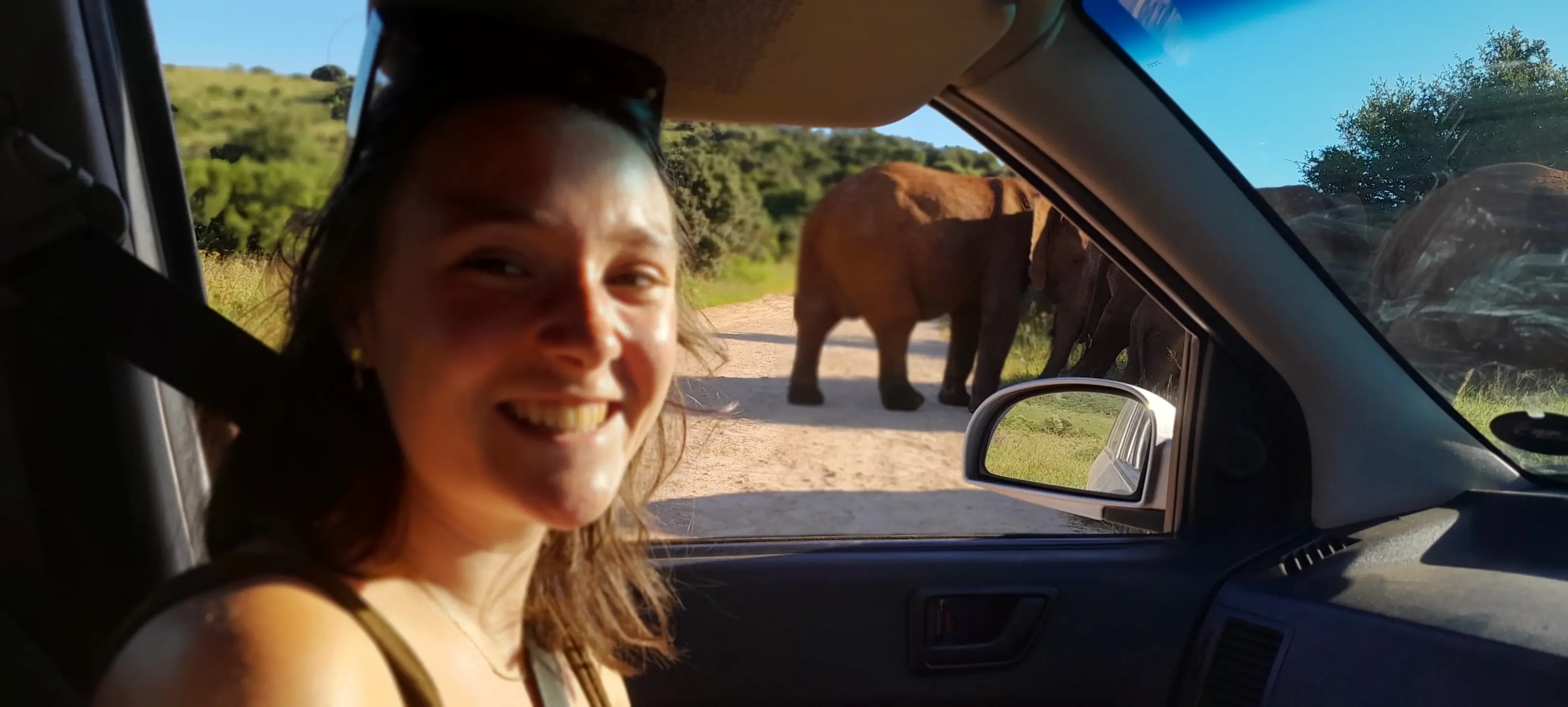 Addo Elephant Experience