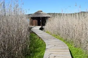 Birding Tours