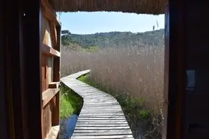 Birding Tours