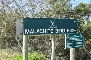 Birding Tours