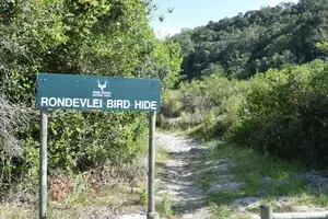 Birding Tours