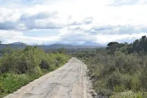 Birding Tours