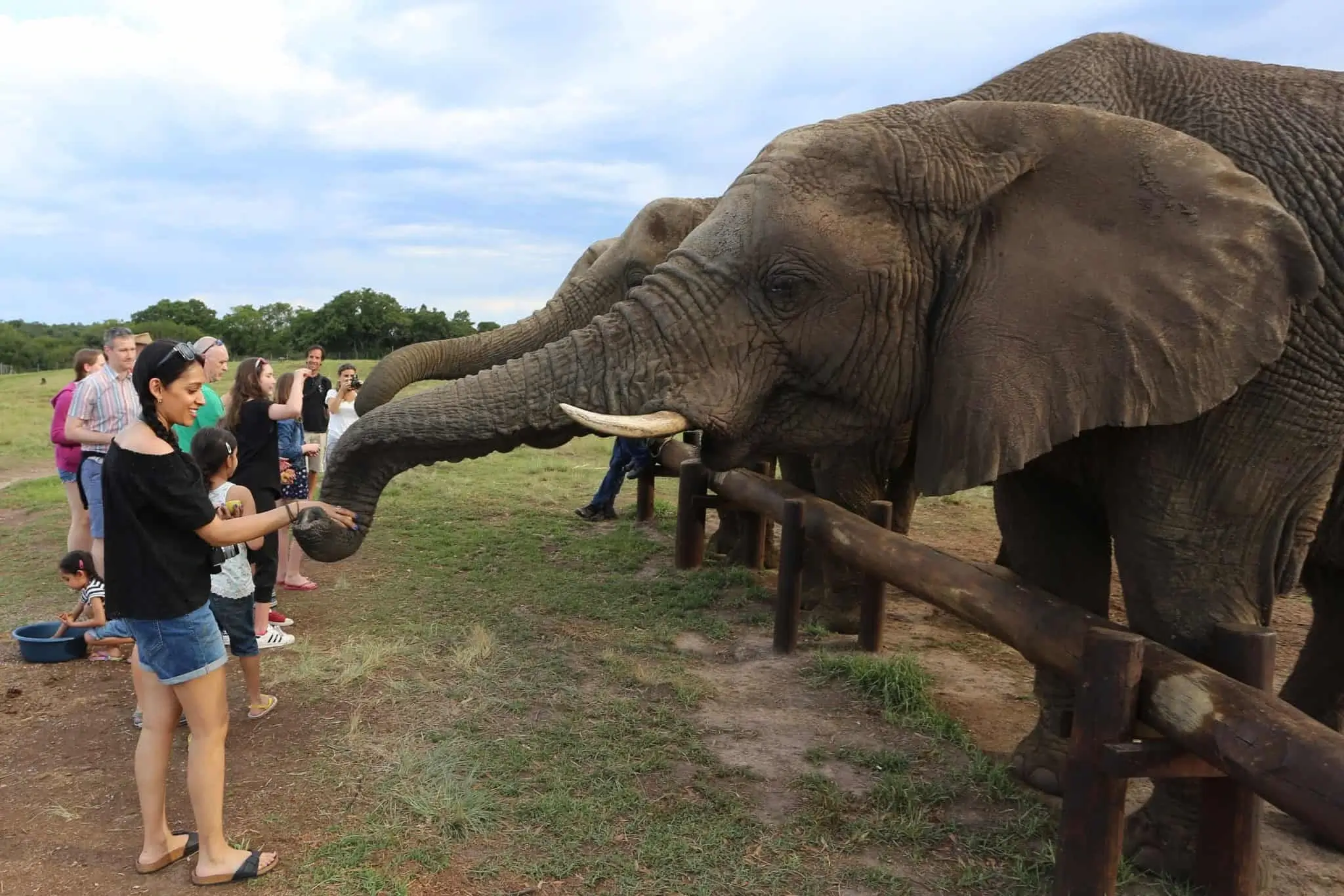 Pettenberg Elephant Sanctuary