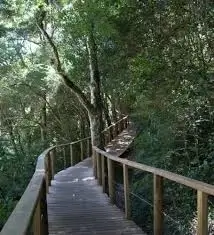 Touws River