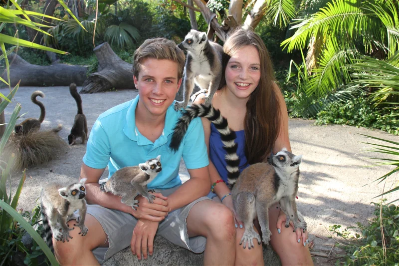 Cango Wildlife Tours